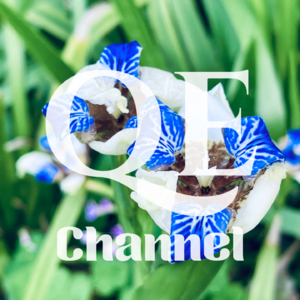 #EP 26 QE Channel 从思考到思考之上