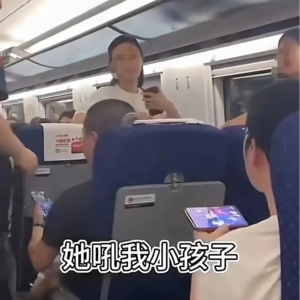 Vol.1 高铁“互殴”事件，不仅是礼教“欠费”