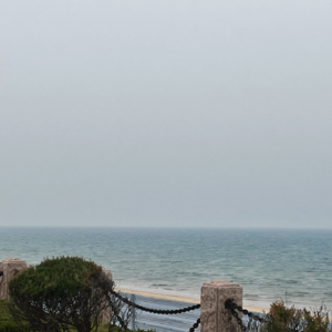 Vol.19《纳瓦尔宝典》:在“成为我自己”比赛中,我们都是冠军