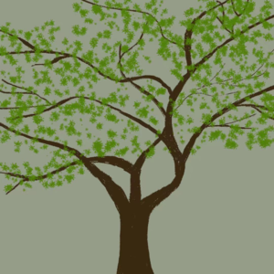 01：情绪自洽|低能量者如何提升自己的能量场？改变磁场的四个秘诀