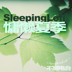 𝙋𝙡𝙖𝙮𝙡𝙞𝙨𝙩 ·慵懒夏季｜soul｜氛围 ｜白噪音｜chill｜浪漫｜宝藏歌单｜