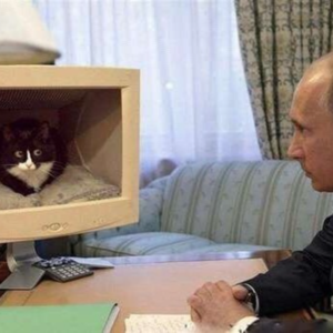 2022有点儿好P2：这个世界发生了什么？