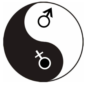 7. 两性不同视角下的女性主义