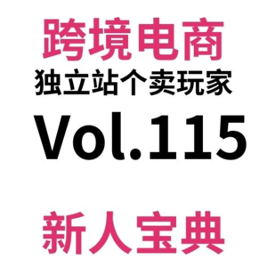 Vol115.或许是个人创业最强鸡汤：从真实录音回看半年前焦虑时期的我，希望带给每一个跨境电商独立站个卖一丝平静