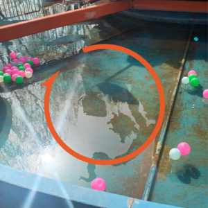 Vol.45 对话周嘉宁:21世纪初,我曾以为更大的快乐在等我