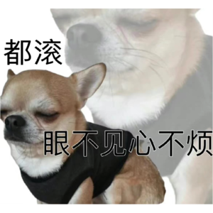 Vol.22 租房奇遇记，越想越来气
