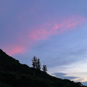 07|群像聊天记录之“我们的25岁生日愿望”(下)