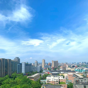 田野.芒草.还有湖边柳树的命运