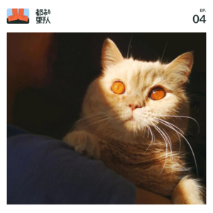 EP 4. 生命在于折腾，90后新闻编辑换岗换行换城市