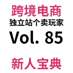 Vol85.手把手教你跨境电商独立站SEO第四期：我居然通过学习SEO学会了选品？如何判断自己的选品是否适合SEO？