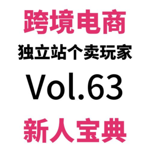 Vol63.跨境电商独立站新人入坑6个必备前置准备！每一步都附一个省钱Tips！信用卡？公司主体？（上）