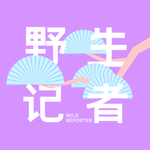 Vol.12 美丽的魔咒，灯红酒绿上海滩炒股辍学之后发生的事