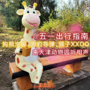 五一出行指南：狗熊泡脚、海豹导弹、猴子翻跟头，来天津动物园听相声