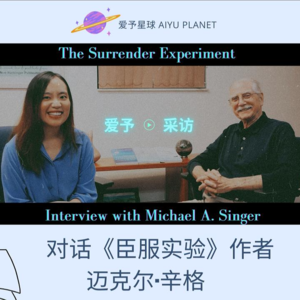 020 采访臣服实验作者：到底什么是臣服