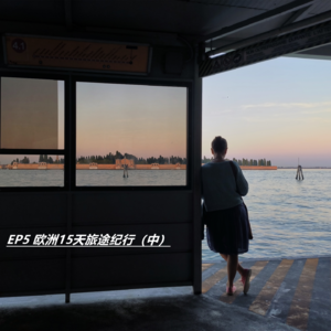 EP5 欧洲15天旅途纪行 中 (维也纳，威尼斯，佛罗伦萨)