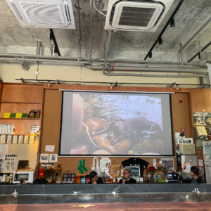 跳海与我的北平记忆