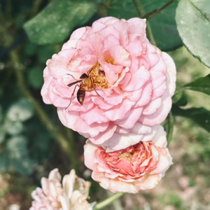 #EP 21 QE Channel 21世纪最失败的主播