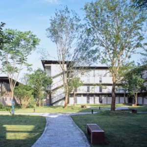 范蓓蕾：寻找建筑的感性品质