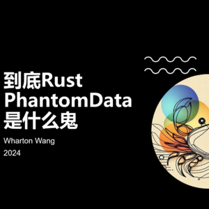 到底Rust中的Phantomdata是什么鬼