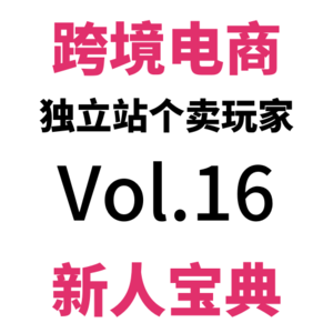Vol.16 10个被人无视的SEO优化秘诀(下)|跨境电商独立站SEO驴学宝典(4)
