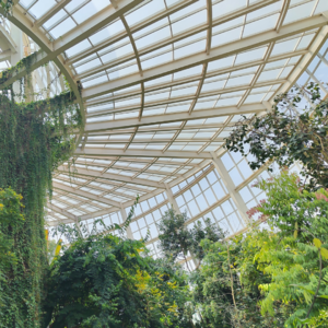 Vol.06 云逛昆明下:春季赏花指南,斗南花市与昆明植物园