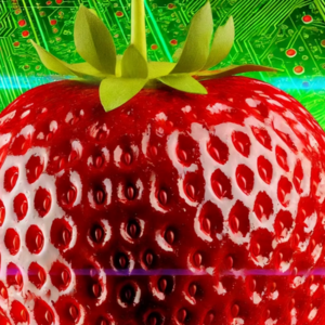 OpenAI草莓Strawberry：苹果与甲骨文