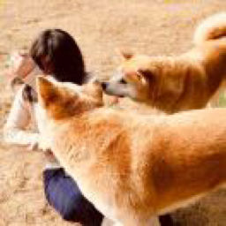 成都到底有多少个弹唱歌手？