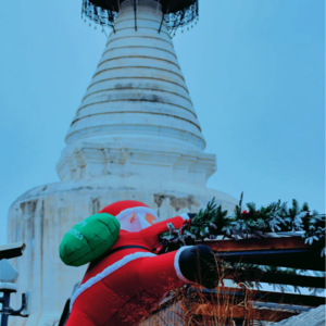 阿含次第学习关于慢的介绍