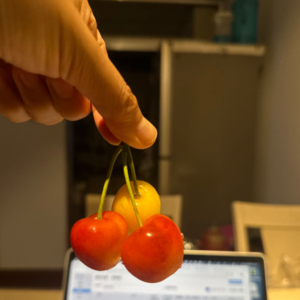 02.当我妈决定让我高中留学之后