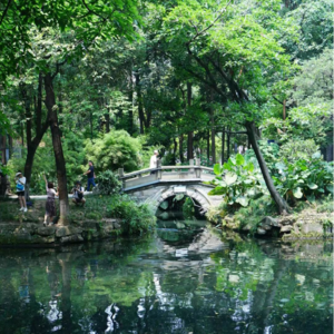 Vol.26 来成都逛公园吧！