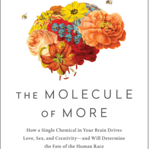 63. 读书系列29 - 贪婪的多巴胺