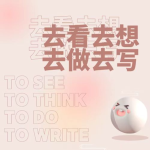 02期 ｜如何在逻辑思维层面打败Chat-gpt？——去看去想去做去写