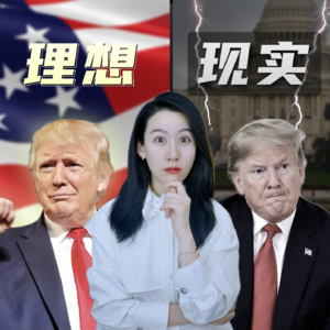 关税过山车，特朗普究竟想干嘛？