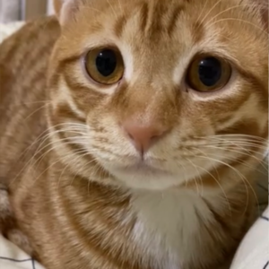 bb. 打工人日常｜见客户大乌龙事件！