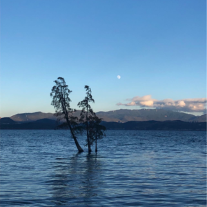 01. 从喜洲到沙溪 | 逃离都市的n种方式