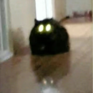 Vol.022 如何逼疯J人?和P人一起旅游!