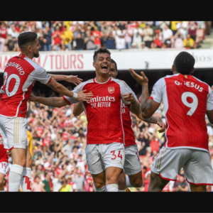 一个难忘的英超赛季！(阿森纳主场5：0狼队)