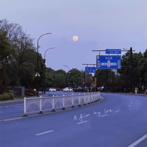 读书|3位女作家的散文集|张爱玲|萧红|武田百合子