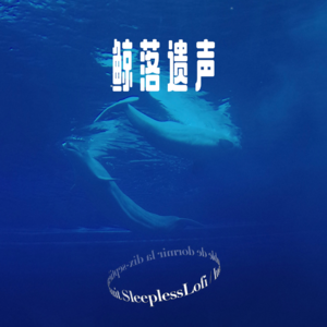 𝙋𝙡𝙖𝙮𝙡𝙞𝙨𝙩 ·鲸落遗声 ｜Cries of whales｜助眠 ｜氛围｜白噪音｜治愈｜歌单｜冥想｜