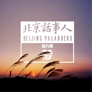 （2016）梦 - 北京话事人0013