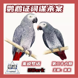 Vol.26 鹦鹉证词谋杀案丨陪审团采纳鹦鹉证词