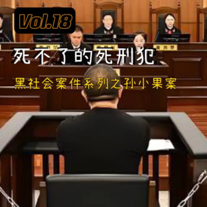 Vol.18 “死不掉”的死刑犯,黑社会案件系列之孙小果案