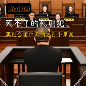 Vol.18 “死不掉”的死刑犯，黑社会案件系列之孙小果案