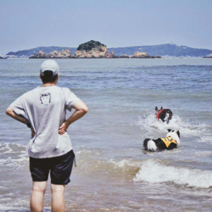 带狗出去旅行吧，和靠谱的伙伴一起！| 毛朋友电台07