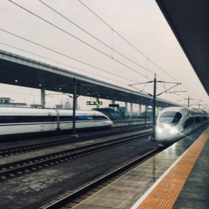 EP79｜去国已久，后疫情时代的归国见闻