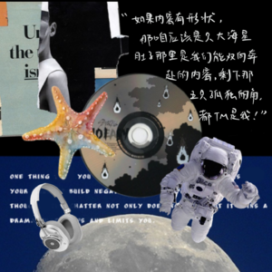 11. 虎年盘点 | 如果内容有形状，那我们应该是只大海星