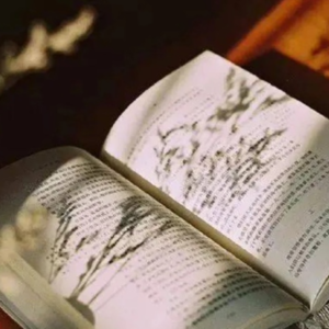 鸡汤/如果不读书，行万里路，也只是个邮差