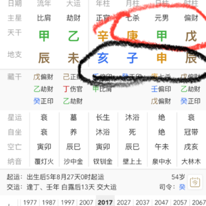 马斯克八字解析【四】造就世界首富的真正原因|天上三奇甲戊庚的创造力配合地上三合申子辰三合水局的黑洞发动机