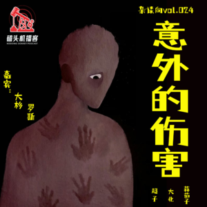 杂谈向vol.024-意外的伤害