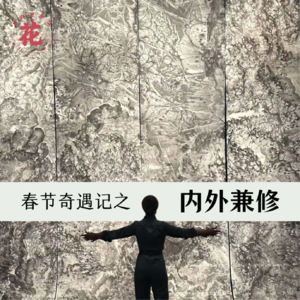 Vol：075 春节奇遇记之：内外兼修